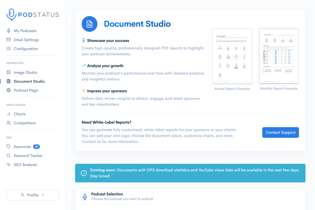 Document Studio report builder interface